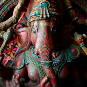 Mystic Wolf Meditation