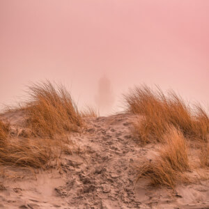 The Meditation Society